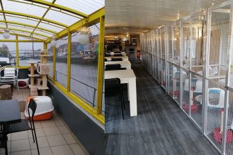 Interieur en terras van de poezenboot