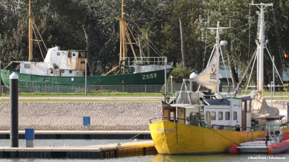 Garnalenkotter Z-533 in Zeebrugge